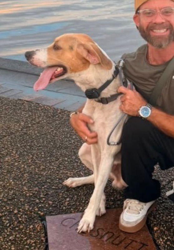 Reese, a hound, sitting on the New Bern waterfront at sunset